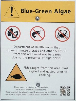 Blue Green Algae warning sign Jan 2013