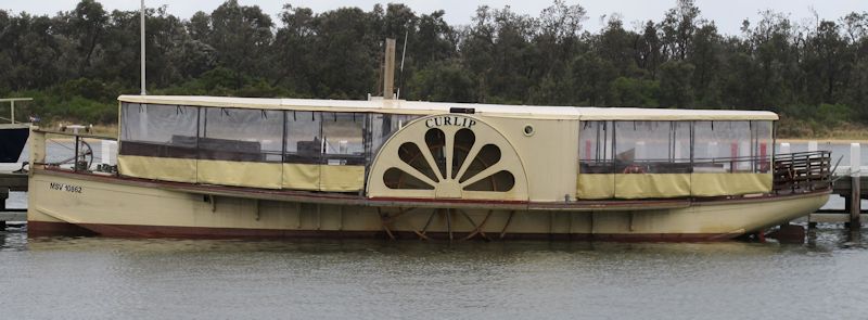 The Curlip at Lakes Entrance