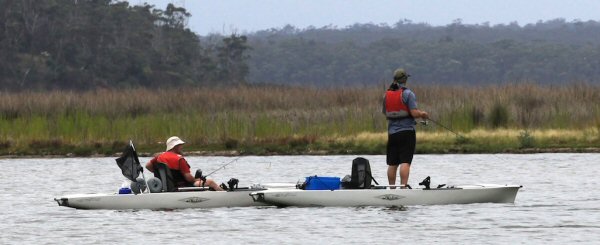 Pedal Powered Kyaks on Lake Tyers