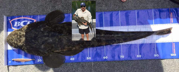1metre Flathead caught at Lake Tyers Beach