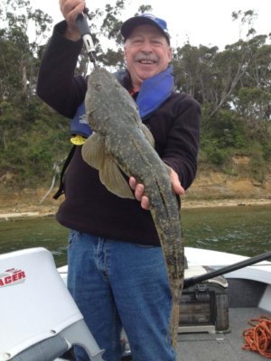 Rowey from Happy Hookers with 73cm Flathead