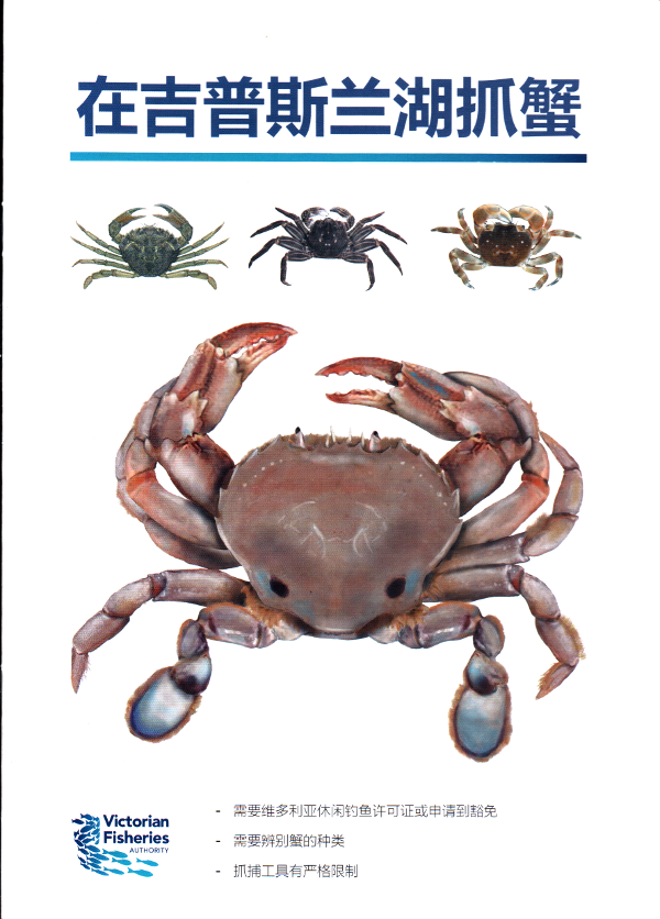 Crab opener: Tips for crabbing 