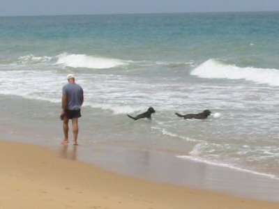Two Dogs in the Surf, Lake Tyers Beach