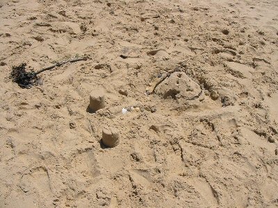 Sandcastles at Lake Tyers Beach