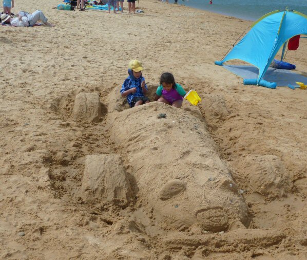 Sand Car or Castle?  Lake Tyers Beach