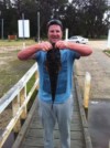 Flathead at Lake Tyers Beach