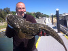 Flathead Oct 2016 Joe using Lures, Lake Tyers Beach