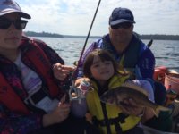 Gabby C's 36cm Bream at Lake Tyers