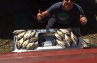 Jillian with a good haul of Bream Lake Tyers Beach 2016